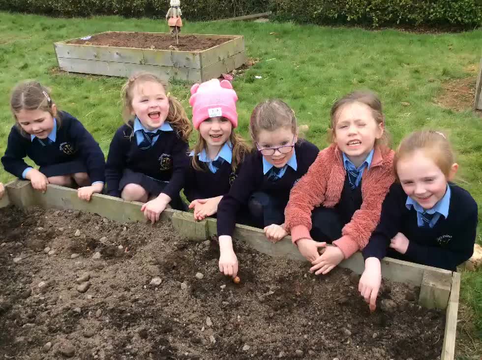 Our Big Spring Clean!