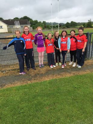 Lissan PS compete at Rounders